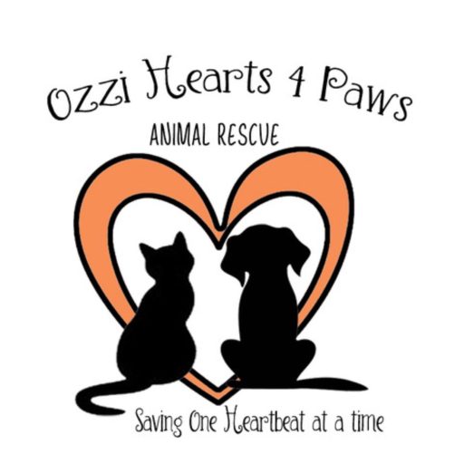 Central Coast Animal Rescue